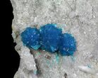 Vibrant Blue Cavansite Clusters on Stilbite - India #64803-1